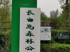 -长白岛森林公园