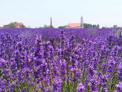 -西海岸生态观光园