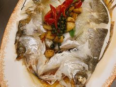 -津菜宋记老房子(鼓楼店)