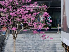 -东莞松山湖万象汇