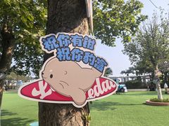 -秦皇岛乐岛海洋王国