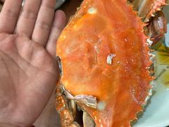 -小铜锣湾海鲜家常菜馆(河西店)