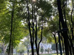 -后襄河公园