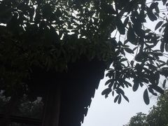 -裕兴记·三虾面(西北街总店)