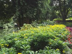 -成都市活水公园