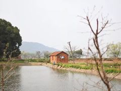 -东湖落雁景区