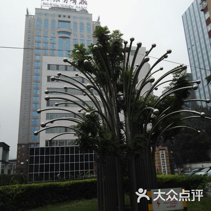 北京青年报社