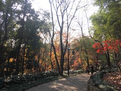 -杭州半山国家森林公园