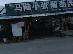 -马陆小张葡萄园农家乐