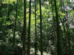 -凤栖山