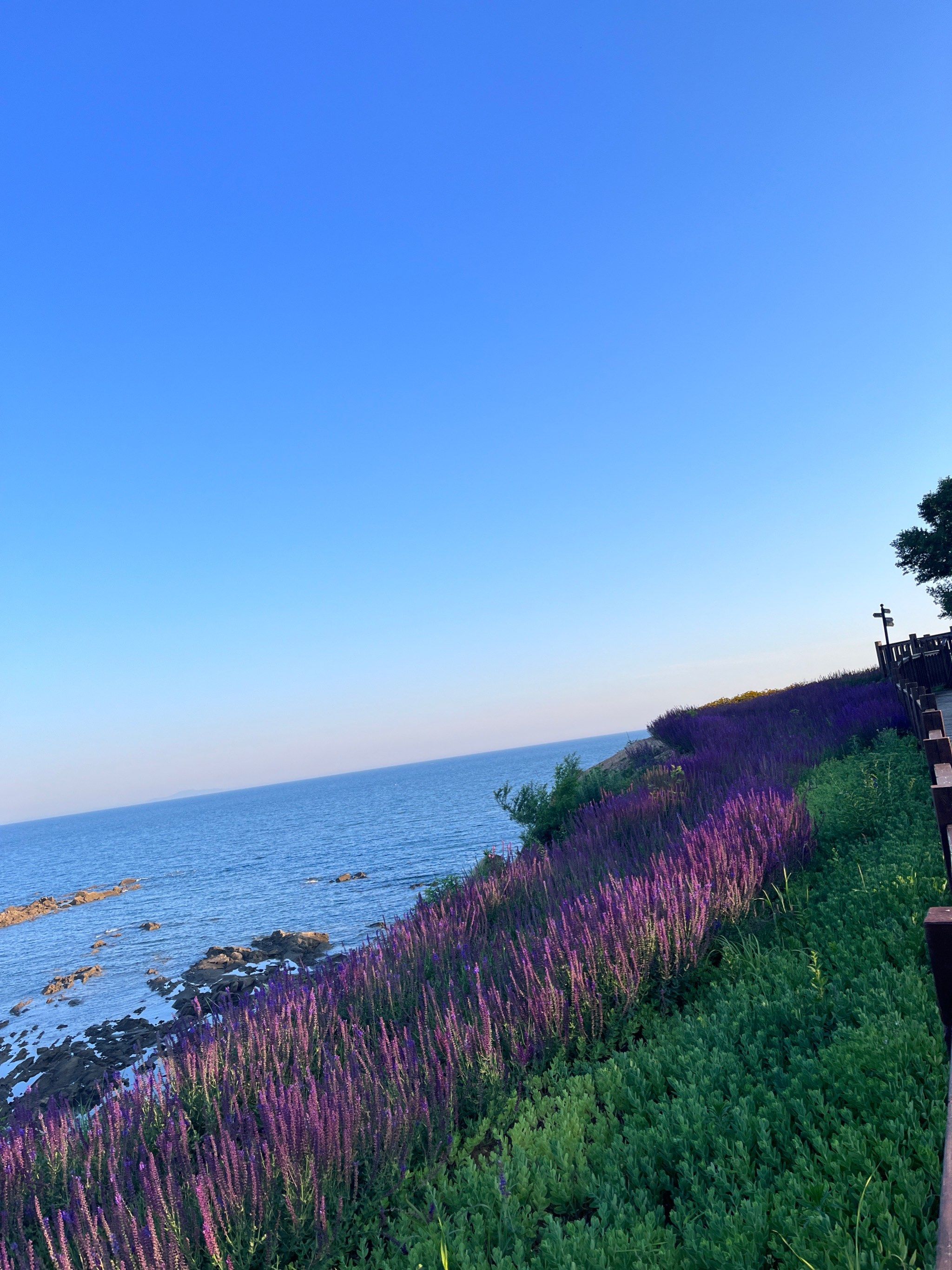 出游志庄河的石城岛.远离喧嚣的世外桃源