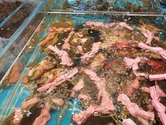 -新丁香海鲜酒店(银海商贸城店)