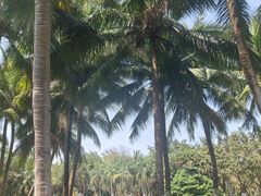 -白沙门生态公园