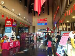 -华谊兄弟影院(IMAX洋桥店)