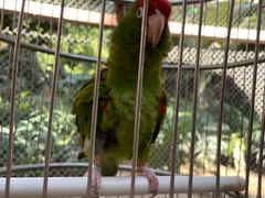 -南宫五洲植物乐园