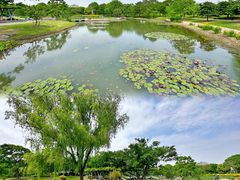 -上海辰山植物园