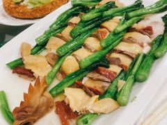 广州文昌鸡-广州酒家(文昌总店)