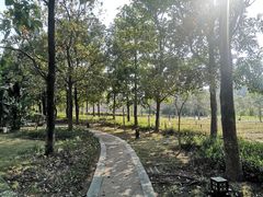 -清远熹乐谷温泉度假酒店