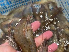 海鲜大咖-宴小馆·小海鲜青岛菜(五四广场店)