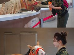 -中国马镇舞马世界主题乐园