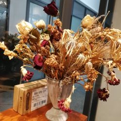 -菲林婚纱摄影工作室