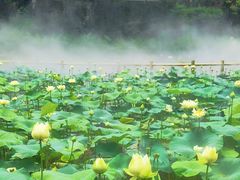 -广州莲花山旅游区