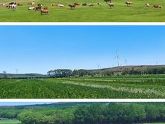 -回声星球·团建策划·赛事承办·拓展培训(大钟寺店)