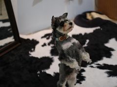 -零几体验diy皮具工作室(振业城店)