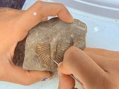 -房山世界地质公园博物馆