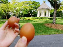 -植物园哈利亚餐厅