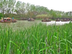 -溱湖国家湿地公园