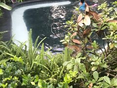 -海兰云天度假区温泉