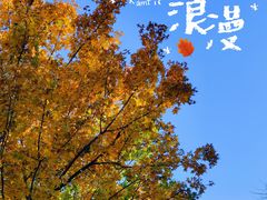 -鹫峰国家森林公园