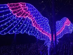 -飞凤山奥体公园