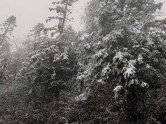 -武陵山森林公园