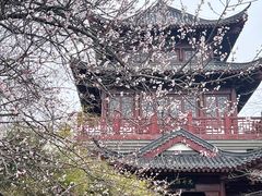 -堤角公园