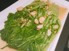 -绿茶餐厅(布吉万象汇店)