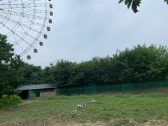 -扬州天乐湖嬉乐谷