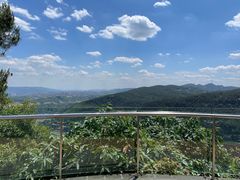 -铁山坪森林公园