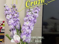 -循礼门鲜花花市(武汉循礼门店)