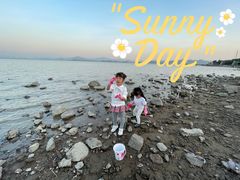 -深圳湾公园-停车场
