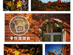 -上海佘山国家森林公园西佘山园