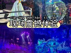 -广州长隆国际大马戏