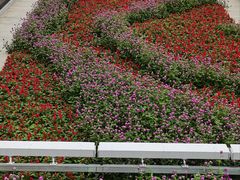 -赛格电子市场(华强北路店)