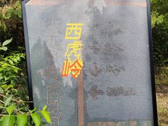 -白水寺森林公园