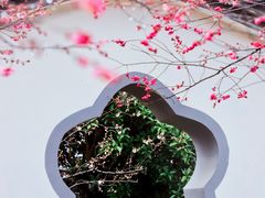 -梅花山(明孝陵内)