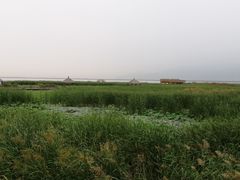 -哈素海
