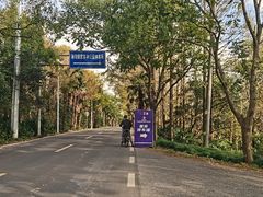 -上海海湾国家森林公园