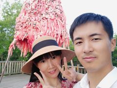 -帽儿山国家森林公园