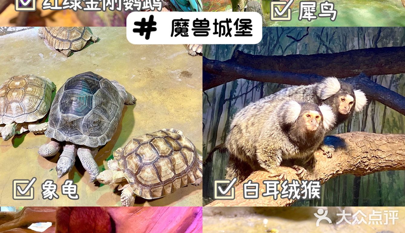 武汉溜娃好去处🔥孩子最爱‼️建议收藏㊙️